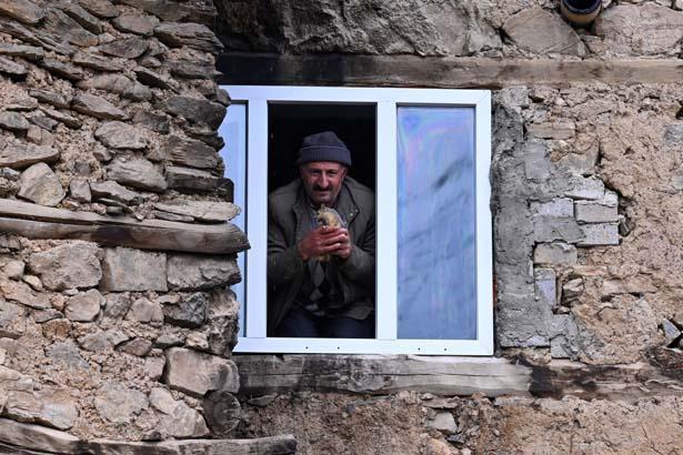 Fındık ve Mitan